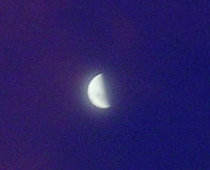 half-moon2-300x244