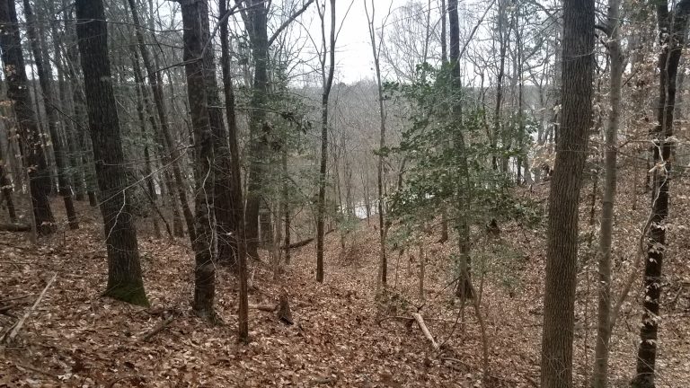 The Unclear Trail: When Life Looks Uncertain