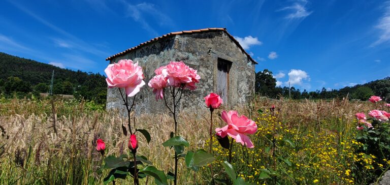 El Camino: Barcelos to Balugães