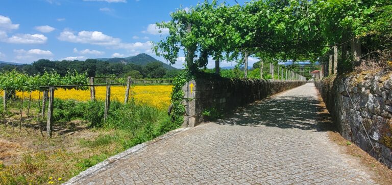 El Camino: Balugães to Ponte de Lima